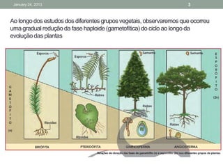 January 24, 2013                                                   3


Ao longo dos estudos dos diferentes grupos vegetais, observaremos que ocorreu
uma gradual redução da fase haploide (gametofítica) do ciclo ao longo da
evolução das plantas
 