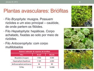 January 24, 2013                            4




Plantas avasculares: Briófitas
• Filo Bryophyta: musgos. Possuem
  rizóides e um eixo principal – caulóide,
  de onde partem os filóides.
• Filo Hepatophyta: hepáticas. Corpo
  achatado, fixadas ao solo por meio de
  rizóides.
• Filo Antocerophyta: com corpo
  multilobados
 