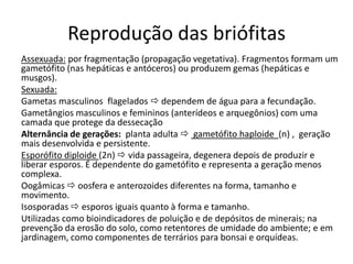 Reprodução das briófitas
Assexuada: por fragmentação (propagação vegetativa). Fragmentos formam um
gametófito (nas hepáticas e antóceros) ou produzem gemas (hepáticas e
musgos).
Sexuada:
Gametas masculinos flagelados  dependem de água para a fecundação.
Gametângios masculinos e femininos (anterídeos e arquegônios) com uma
camada que protege da dessecação
Alternância de gerações: planta adulta  gametófito haploide (n) , geração
mais desenvolvida e persistente.
Esporófito diploide (2n)  vida passageira, degenera depois de produzir e
liberar esporos. É dependente do gametófito e representa a geração menos
complexa.
Oogâmicas  oosfera e anterozoides diferentes na forma, tamanho e
movimento.
Isosporadas  esporos iguais quanto à forma e tamanho.
Utilizadas como bioindicadores de poluição e de depósitos de minerais; na
prevenção da erosão do solo, como retentores de umidade do ambiente; e em
jardinagem, como componentes de terrários para bonsai e orquídeas.
 