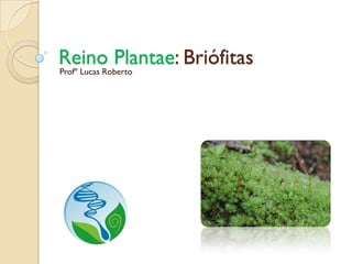 Reino Plantae: Briófitas
Profº Lucas Roberto
 