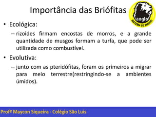 Importância das Briófitas
• Ecológica:
– rizoides firmam encostas de morros, e a grande
quantidade de musgos formam a turfa, que pode ser
utilizada como combustível.
• Evolutiva:
– junto com as pteridófitas, foram os primeiros a migrar
para meio terrestre(restringindo-se a ambientes
úmidos).
 