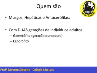 Quem são
• Musgos, Hepáticas e Antocerófilas;
• Com DUAS gerações de indivíduos adultos:
– Gametófito (geração duradoura)
– Esporófito
 