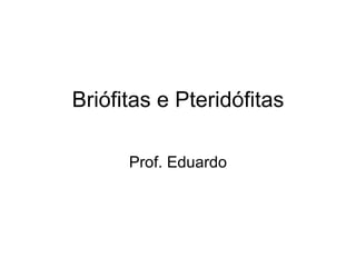 Briófitas e Pteridófitas Prof. Eduardo 