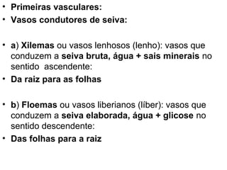 • Primeiras vasculares:
• Vasos condutores de seiva:

• a) Xilemas ou vasos lenhosos (lenho): vasos que
  conduzem a seiva bruta, água + sais minerais no
  sentido ascendente:
• Da raiz para as folhas

• b) Floemas ou vasos liberianos (líber): vasos que
  conduzem a seiva elaborada, água + glicose no
  sentido descendente:
• Das folhas para a raiz
 
