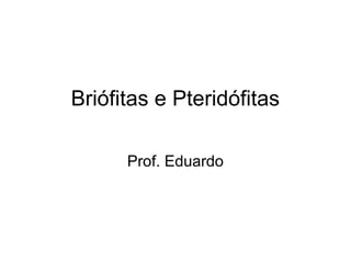 Briófitas e Pteridófitas

      Prof. Eduardo
 