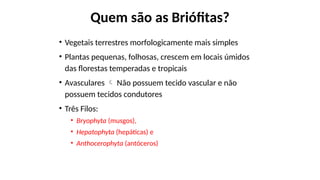 Quem são as Briófitas?
• Vegetais terrestres morfologicamente mais simples
• Plantas pequenas, folhosas, crescem em locais úmidos
das florestas temperadas e tropicais
• Avasculares  Não possuem tecido vascular e não
possuem tecidos condutores
• Três Filos:
• Bryophyta (musgos),
• Hepatophyta (hepáticas) e
• Anthocerophyta (antóceros)
 