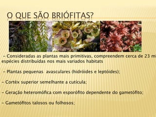 O QUE SÃO BRIÓFITAS?




  - Consideradas as plantas mais primitivas, compreendem cerca de 23 mi
espécies distribuídas nos mais variados habitats

  - Plantas pequenas avasculares (hidróides e leptóides);

-  Cortéx superior semelhante a cutícula;

-  Geração heteromóﬁca com esporóﬁto dependente do gametóﬁto;

-  Gametóﬁtos talosos ou folhosos;
 