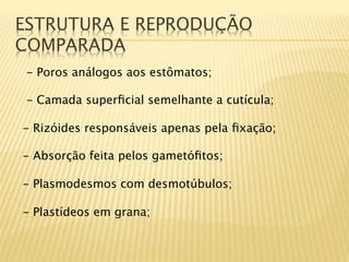 ESTRUTURA E REPRODUÇÃO
COMPARADA
    - Poros análogos aos estômatos;

    - Camada superﬁcial semelhante a cutícula;

-  Rizóides responsáveis apenas pela ﬁxação;

-  Absorção feita pelos gametóﬁtos;

-  Plasmodesmos com desmotúbulos;

- Plastídeos em grana;
 