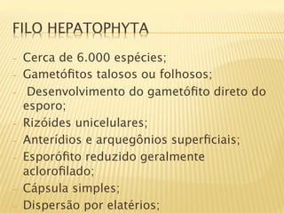 FILO HEPATOPHYTA

-    Cerca de 6.000 espécies;
-    Gametóﬁtos talosos ou folhosos;
-     Desenvolvimento do gametóﬁto direto do
     esporo;
-    Rizóides unicelulares;
-    Anterídios e arquegônios superﬁciais;
-    Esporóﬁto reduzido geralmente
     acloroﬁlado;
-    Cápsula simples;
-    Dispersão por elatérios;
 