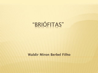 “BRIÓFITAS”




Waldir Miron Berbel Filho
 
