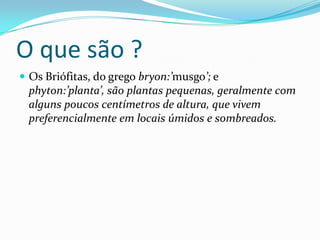 O que são ?Os Briófitas, do grego bryon:’musgo’; e phyton:’planta’, são plantas pequenas, geralmente com alguns poucos centímetros de altura, que vivem preferencialmente em locais úmidos e sombreados.  