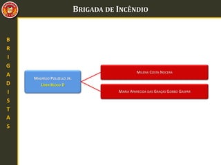 BRIGADA DE INCÊNDIO
B
R
I
G
A
D
I
S
T
A
S
MAURÍLIO POLIZELLO JR.
LÍDER BLOCO D
MILENA COSTA NOCERA
MARIA APARECIDA DAS GRAÇAS GOBBO GASPAR
 