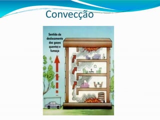 Convecção
 