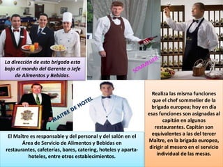 La dirección de esta brigada esta
bajo el mando del Gerente o Jefe
de Alimentos y Bebidas.
El Maître es responsable y del personal y del salón en el
Área de Servicio de Alimentos y Bebidas en
restaurantes, cafeterías, bares, catering, hoteles y aparta-
hoteles, entre otros establecimientos.
Realiza las misma funciones
que el chef sommelier de la
brigada europea; hoy en día
esas funciones son asignadas al
capitán en algunos
restaurantes. Capitán son
equivalentes a las del tercer
Maître, en la brigada europea,
dirigir al mesero en el servicio
individual de las mesas.
 