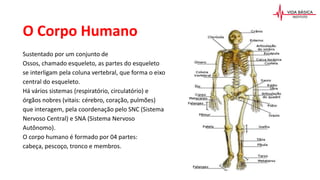 O Corpo Humano
Sustentado por um conjunto de
Ossos, chamado esqueleto, as partes do esqueleto
se interligam pela coluna vertebral, que forma o eixo
central do esqueleto.
Há vários sistemas (respiratório, circulatório) e
órgãos nobres (vitais: cérebro, coração, pulmões)
que interagem, pela coordenação pelo SNC (Sistema
Nervoso Central) e SNA (Sistema Nervoso
Autônomo).
O corpo humano é formado por 04 partes:
cabeça, pescoço, tronco e membros.
 