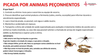 O que fazer?
1. Controle ou elimine riscos para o socorrista ou equipe de socorro;
2. Procure identificar qual animal produziu o ferimento (cobra, aranha, escorpião) para informar durante o
atendimento especializado;
3. Lave o local da picada, se possível, com água e sabão neutro;
4. Mantenha o acidentado em repouso.
5. Transporte a vítima até unidade de saúde especializada para avaliação e tratamento médico de acordo com o
animal ou inseto envolvido, ou caso não seja possível solicitar a chamada de serviço de resgate especializado
(SAMU ou Bombeiros) e esperar junto à vítima.
PICADA POR ANIMAIS PEÇONHENTOS
IMPORTANTE:
> Não amarre nem faça torniquetes ou garrotes.
O garrote impede a circulação do sangue, o que piora a situação.
> Não coloque folhas, pó de café, fezes ou quaisquer outras substâncias no local
da picada, pois podem provocar infecção.
> Não faça cortes no local da picada, pois, somados aos efeitos do veneno,
podem induzir hemorragias e infecções.
> Não forneça bebida alcoólica
 