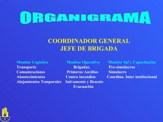 ORGANIGRAMA COORDINADOR GENERAL JEFE DE BRIGADA Monitor Logístico   Monitor Operativo  Monitor Inf y Capacitación Transporte  Brigadas.  Pre-simulacros Comunicaciones  Primeros Auxilios  Simulacro Abastecimientos  Contra incendios  Coordina. Inter institucional Alojamientos Temporales   Salvamento y Rescate  Evacuación   