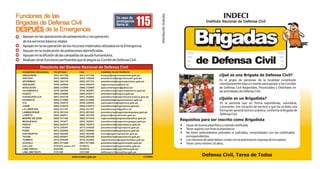 brigadas.pdf
