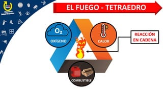 EL FUEGO - TETRAEDRO
O₂
OXÍGENO CALOR
COMBUSTIBLE
REACCIÓN
EN CADENA
 
