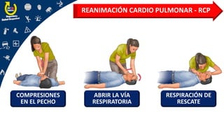 REANIMACIÓN CARDIO PULMONAR - RCP
COMPRESIONES
EN EL PECHO
ABRIR LA VÍA
RESPIRATORIA
RESPIRACIÓN DE
RESCATE
 