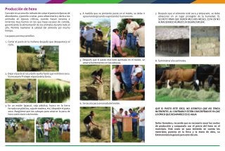 Brigadas tecnologicas-ganaderas-produccion-de-heno-fedegan-plegable