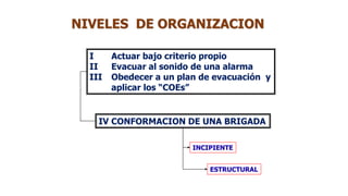 NIVELES DE ORGANIZACION
IV CONFORMACION DE UNA BRIGADA
I Actuar bajo criterio propio
II Evacuar al sonido de una alarma
III Obedecer a un plan de evacuación y
aplicar los “COEs”
INCIPIENTE
ESTRUCTURAL
 