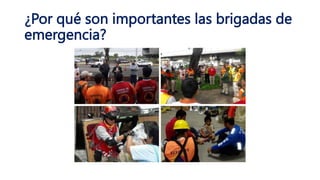 ¿Por qué son importantes las brigadas de
emergencia?
 
