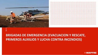 BRIGADAS DE EMERGENCIA (EVACUACION Y RESCATE,
PRIMEROS AUXILIOS Y LUCHA CONTRA INCENDIOS)
 