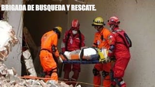 BRIGADA DE BUSQUEDA Y RESCATE.
 