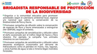 Organiza a la comunidad educativa para promover
actividades según el calendario ambiental local, regional
y/o nacional que valora la conservación de su
biodiversidad de flora y fauna.
Promueve campañas de difusión sobre la conservación
de especies de flora y fauna amenazados a extinguirse
(Ver SERFOR), según el contexto.
Promueve campañas de sensibilización y difusión sobre
el daño ocasionado por el tráfico ilegal de fauna y flora
silvestre. Por ejemplo, la campaña “Los animales
silvestres no son mascotas”.
Promueve campañas de sensibilización y difusión sobre
desastres ecológicos ocasionados por derrame de
hidrocarburos como el petróleo en mares, ríos, lagunas,
u otras fuentes de agua; la tala o minería ilegal; incendios
forestales.
BRIGADISTA RESPONSABLE DE PROTECCIÓN
DE LA BIODIVERSIDAD
 