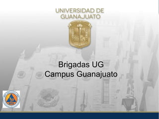 Brigadas UG
Campus Guanajuato
 