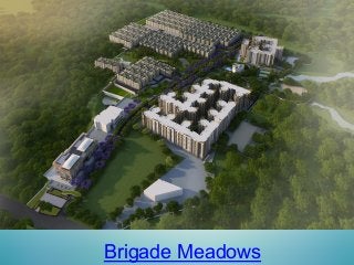 Brigade Meadows
 