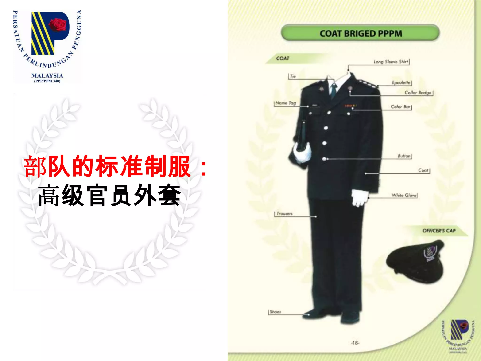 协助政府机构解决有关社会的难题