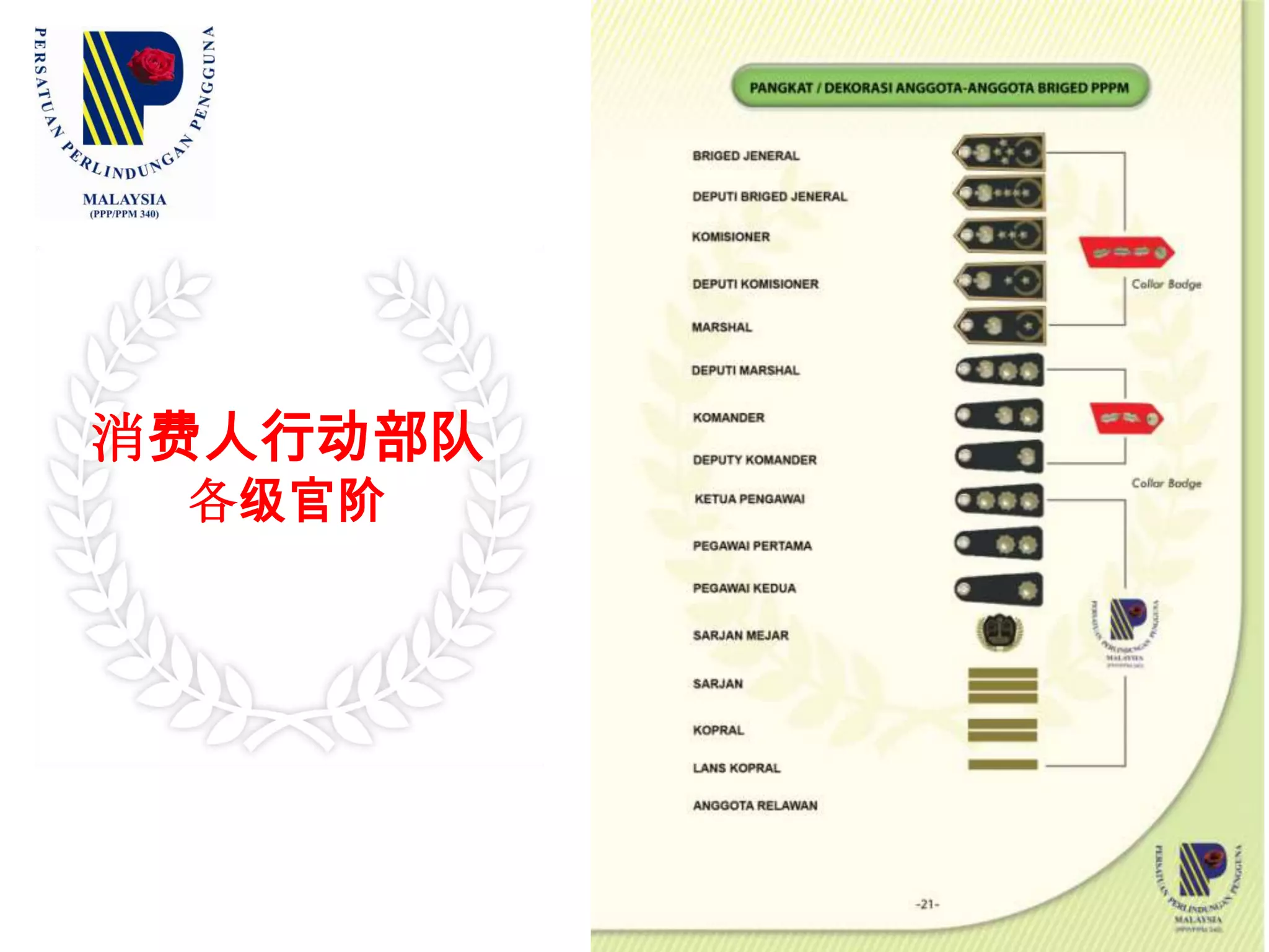 部队的标准制服（四）：   行动队员马甲