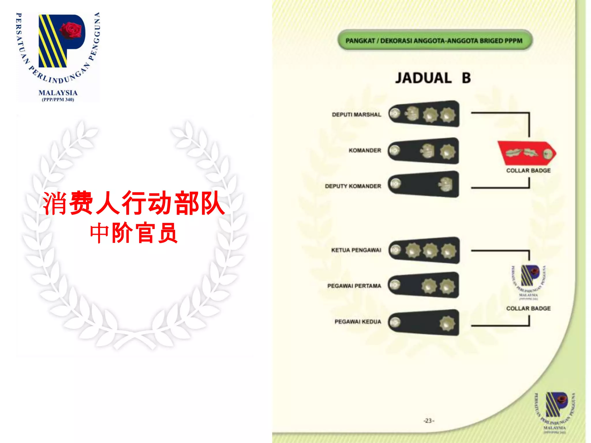 部队的标准制服（五）：     行动队员  优能见度马甲II