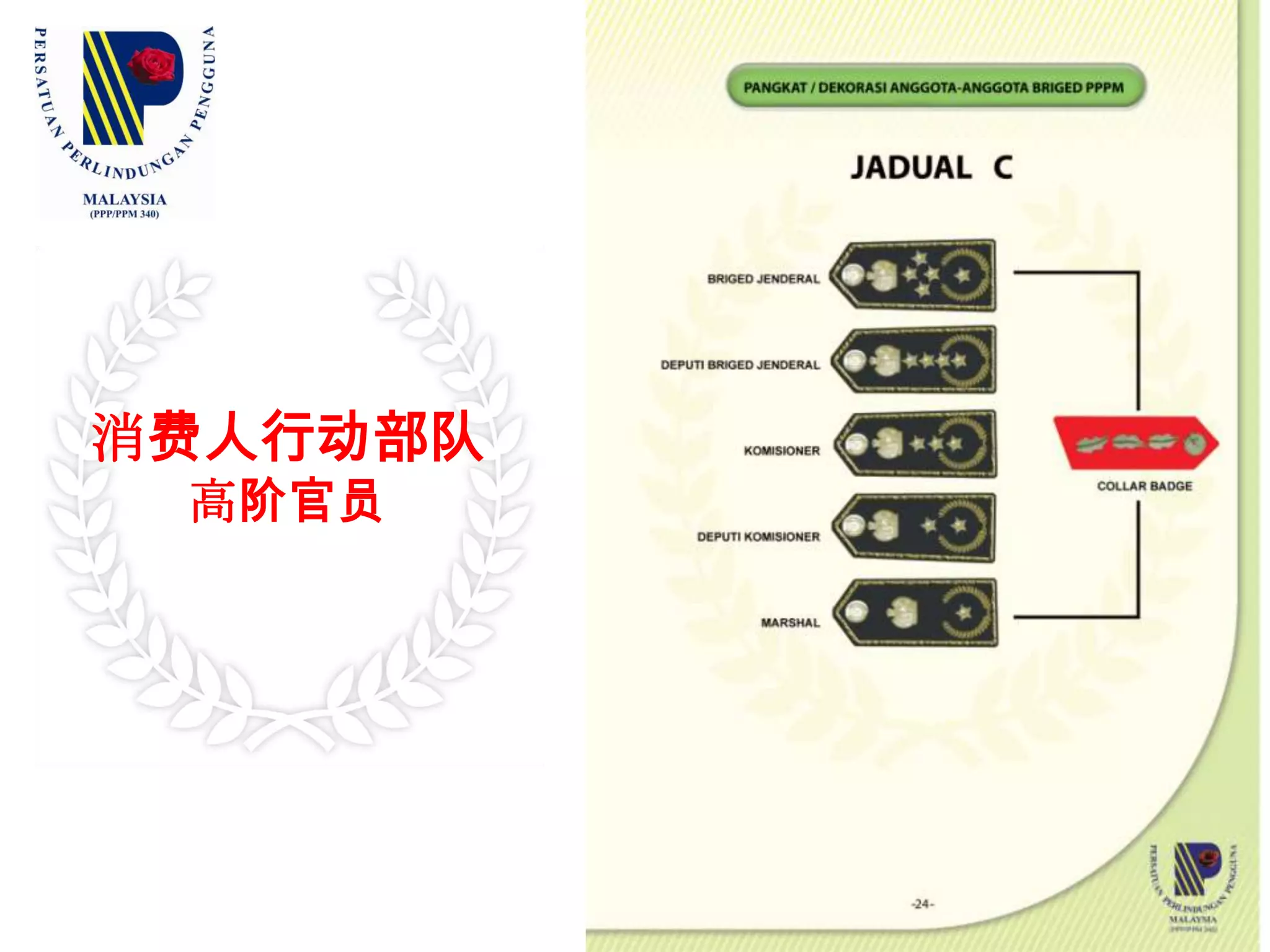 部队的标准制服（六）：   行动队员T恤