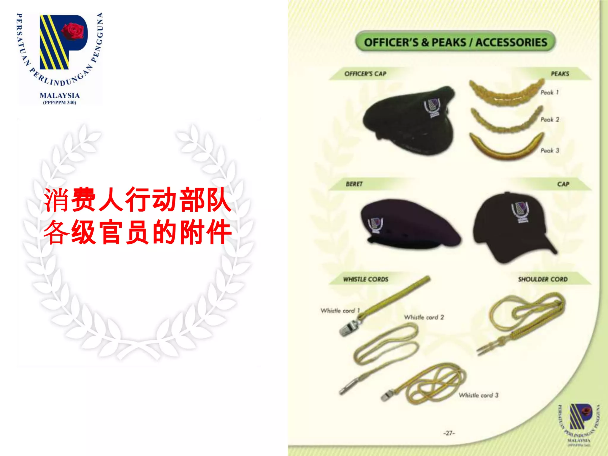 消费人行动部队行动队员