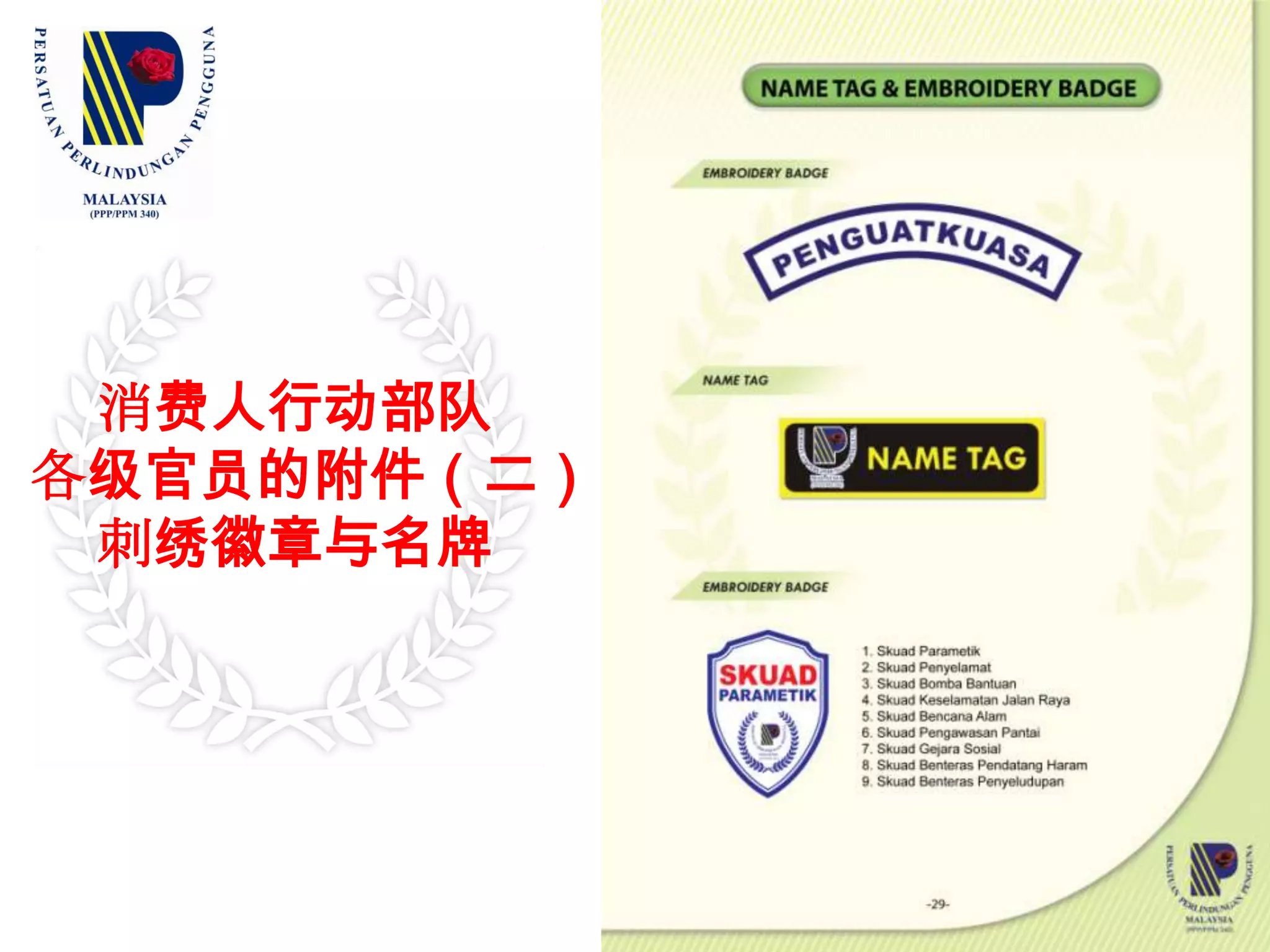 消费人行动部队中阶官员