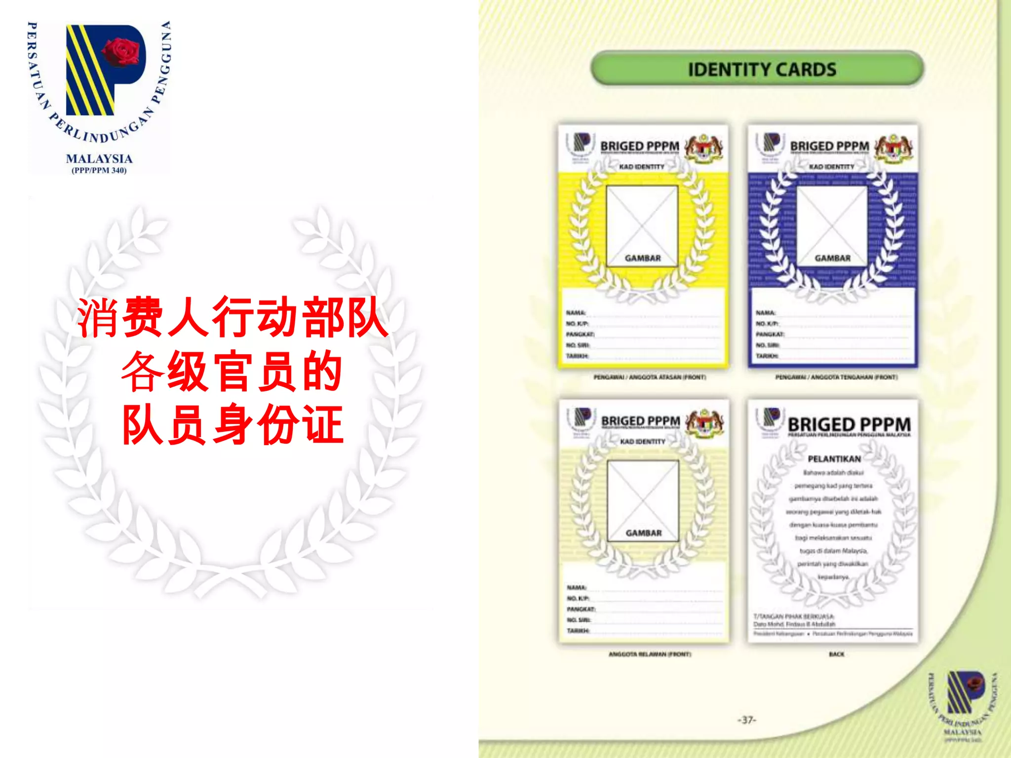 消费人行动部队各级官员的附件（二）刺绣徽章与名牌