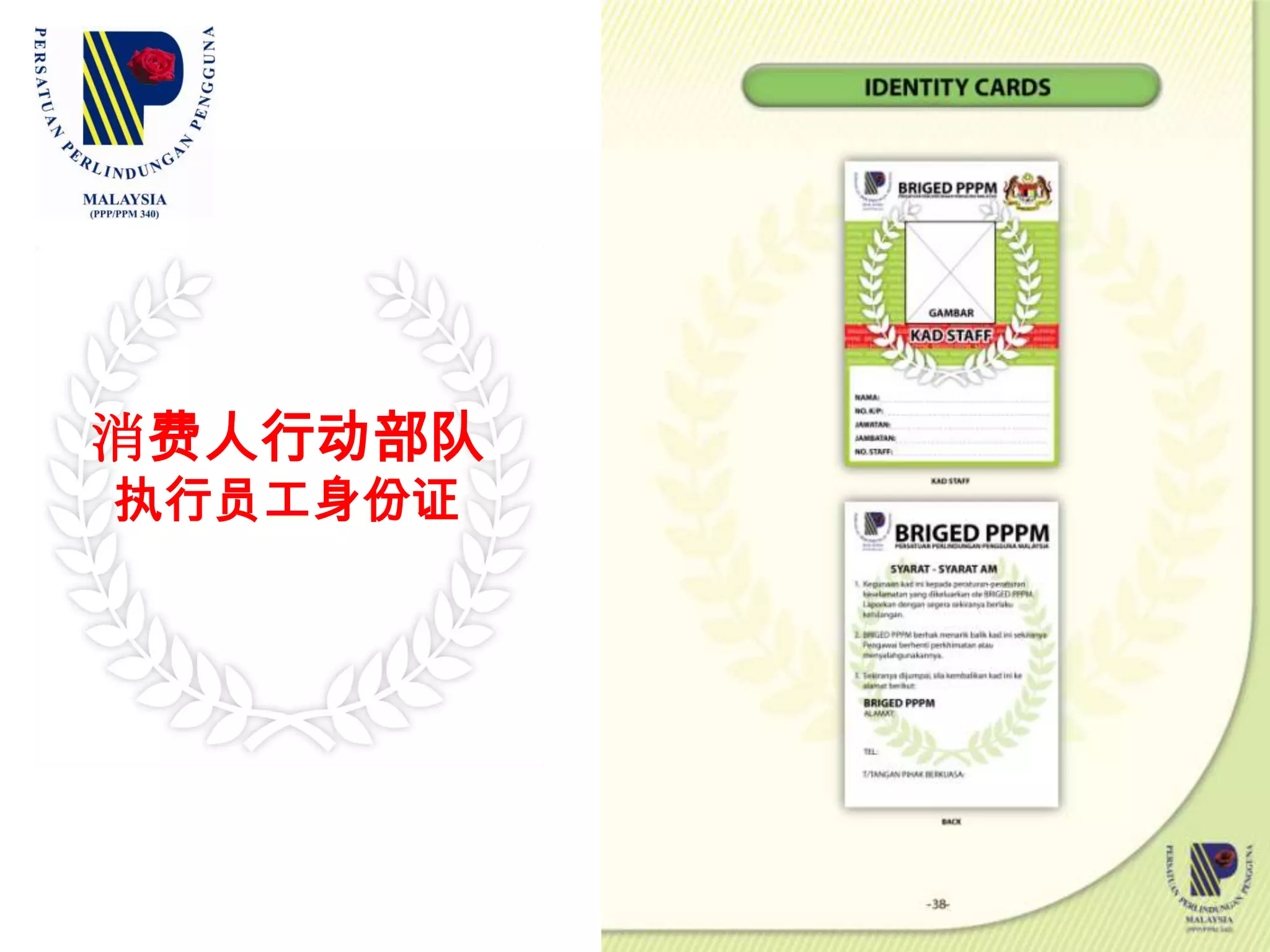   队伍拯救安全队紧急事故队医务辅助队消防支援队灾难支援队道路安全及指挥队海岸巡逻队反非法移民行动组反走私行动组SKUADSkuadParametikSkuadPenyelamatSkuadBombaBantuanSkuadKeselamatanJalan RayaSkuadBencanaAlamSkuadPengawasanPantaiSkuadGejaraSosialSkuadBenterasPendatangHaramSkuadBenterasPenyeludupan