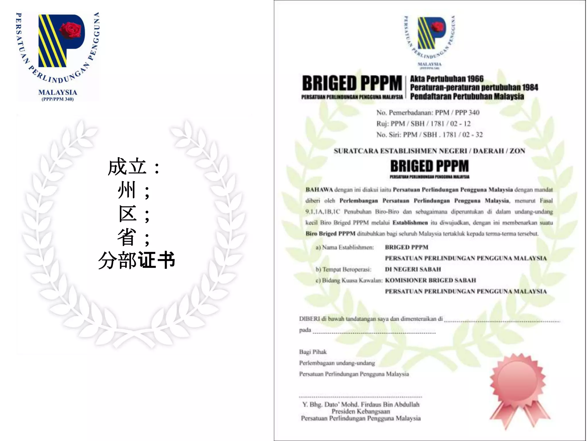 成立：州；区；省；分部证书