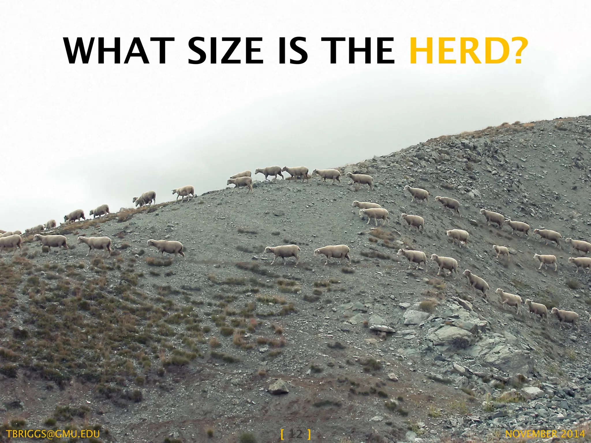 WHAT SIZE IS THE HERD? 
TBRIGGS@GMU.EDU [ 12 ] NOVEMBER 2014 
 