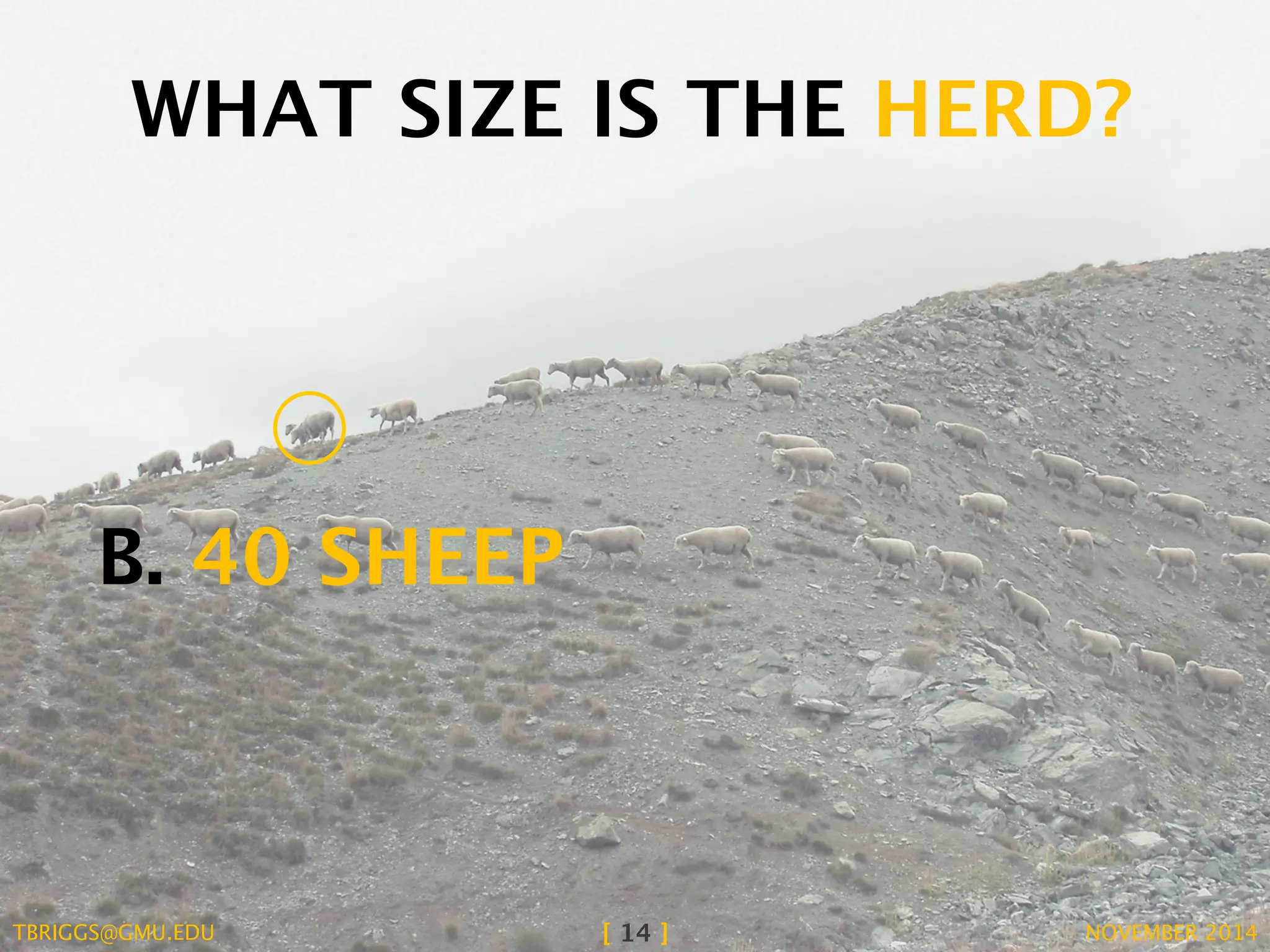 WHAT SIZE IS THE HERD? 
B. 40 SHEEP 
TBRIGGS@GMU.EDU [ 14 ] NOVEMBER 2014 
 