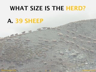 WHAT SIZE IS THE HERD? 
A. 39 SHEEP 
TBRIGGS@GMU.EDU [ 13 ] NOVEMBER 2014 
 