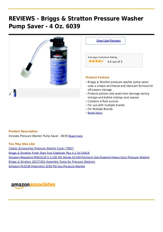 Briggs & stratton pressure washer pump saver 4 oz. 6039