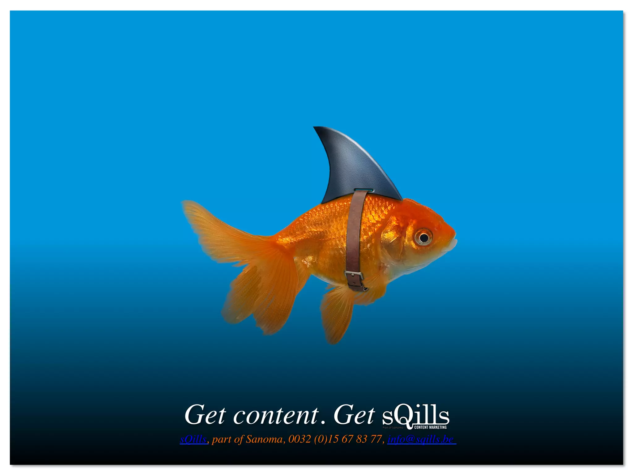 Get content. Get	

sQills, part of Sanoma, 0032 (0)15 67 83 77, info@sqills.be	

 