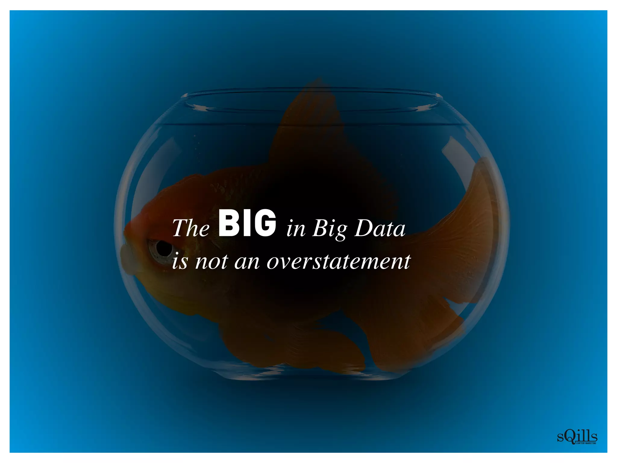 The BIG in Big Data 
is not an overstatement
 