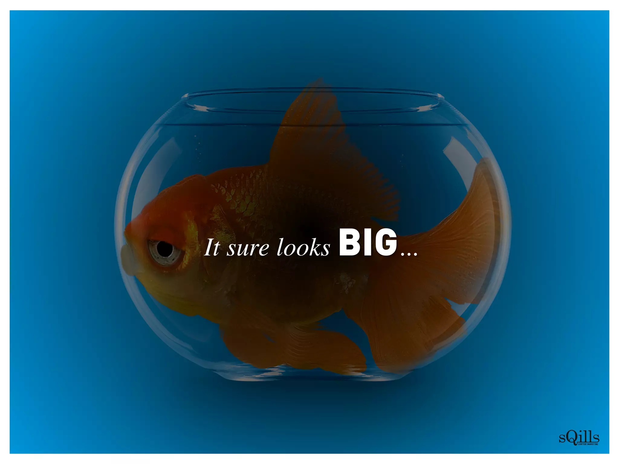 It sure looks BIG...
 