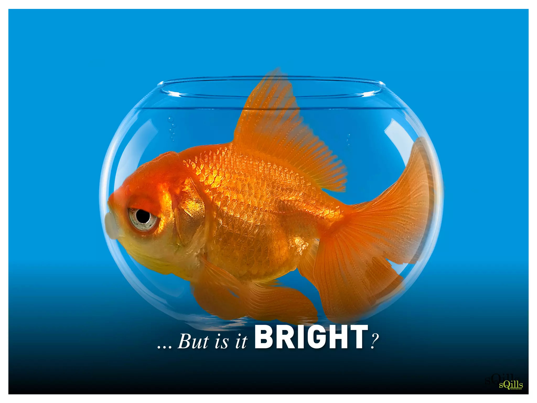 ... But is it BRIGHT?
CUSTOM MADE MEDIA
 