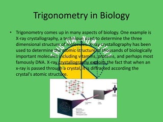 Trigonometry in Biology 
• Trigonometry comes up in many aspects of biology. One example is 
X-ray crystallography, a technique used to determine the three 
dimensional structure of molecules. X-ray crystallography has been 
used to determine the atomic structure of thousands of biologically 
important molecules including vitamins, proteins, and perhaps most 
famously DNA. X-ray crystallography exploits the fact that when an 
x-ray is passed through a crystal, it is diffracted according the 
crystal's atomic structure. 
 